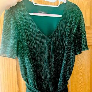 Lane Bryant Sparkly Dress